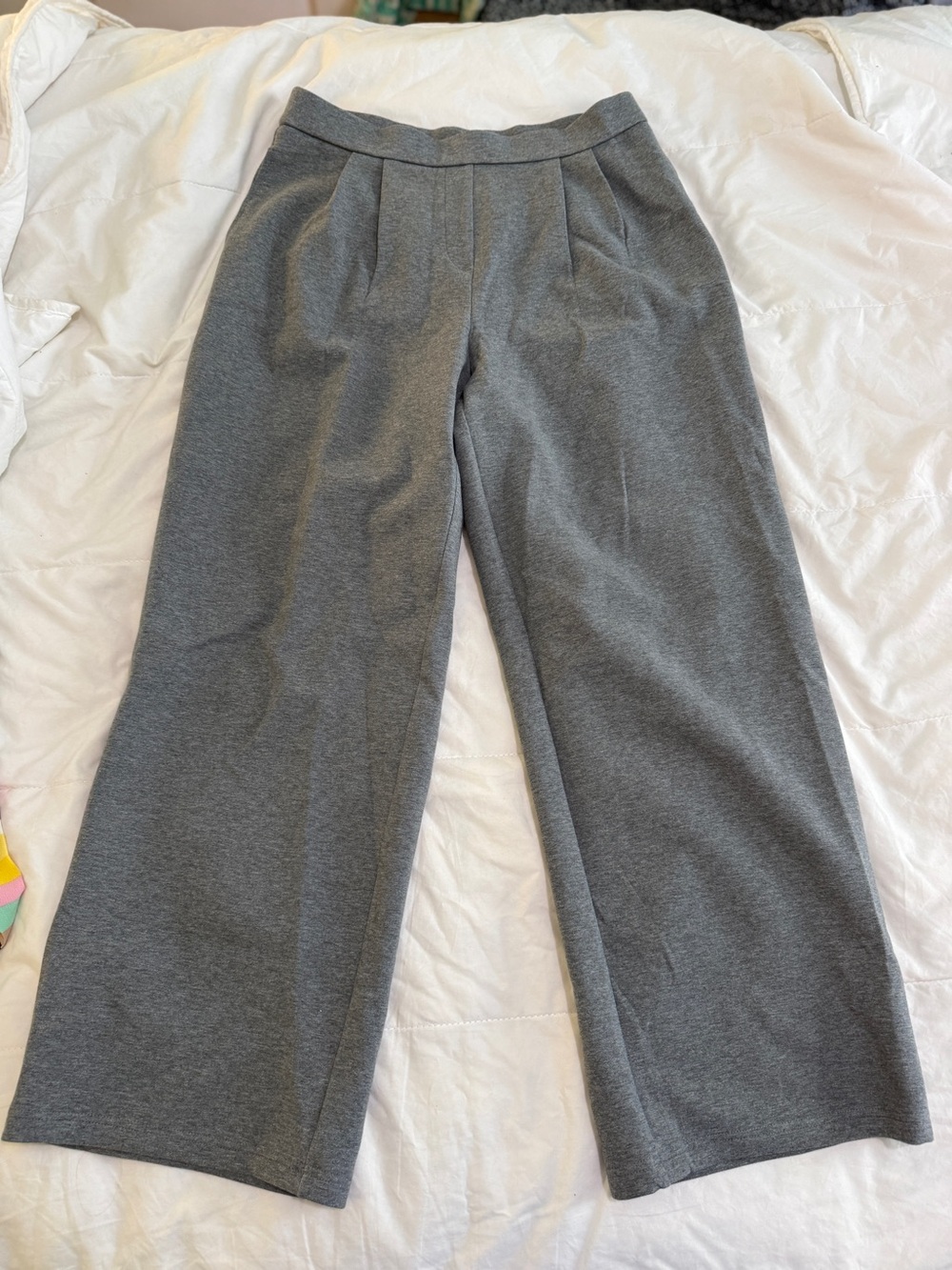 Cozy Wide Leg Pleated Pull-on Pants NWT